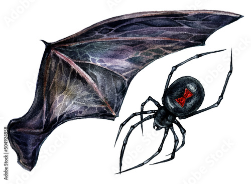 Watercolor Illustration of Bat Wing and Black Widow Spider Isolated on White Background. Hand Drawn Dark Gothic Wedding Decoration. Halloween Botanical Illustration in Vintage Style.