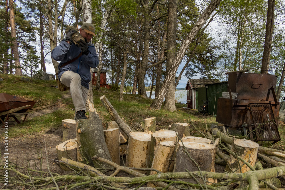Stockholm, Sweden A man carries wood to a woodpile for later splitting as part of a community project.