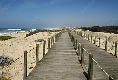 In the dunes of Esmoriz  Aveiro - Portugal 