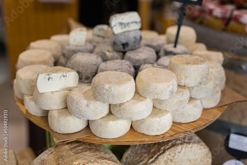 Caciotta Cheese and other Types of Italian Cheeses on Display for Sale in the Store photo