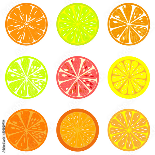 Set of citrus slices of lime, orange, grapefruit and lemon. Vector illustration.