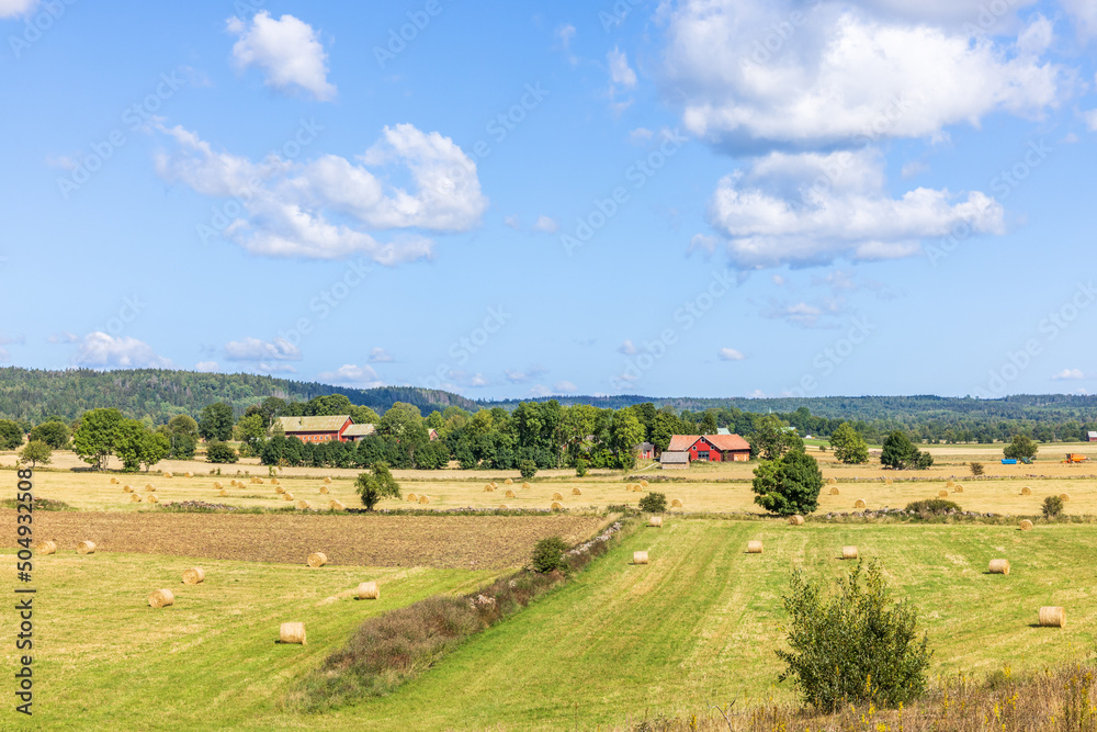 Farm and fields in a rural landscape view