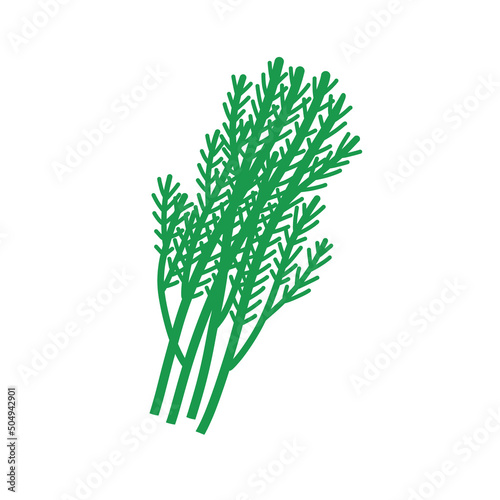 Heap of fresh green dill. Flat vector illustration isolated on white.