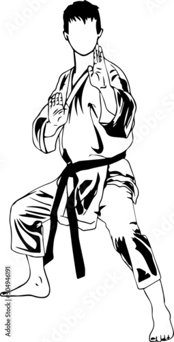 karate vector illustration pose logo