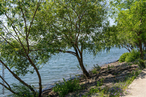 Fototapeta Naklejka Na Ścianę i Meble -  Cool shade of trees and river water on a summer day
