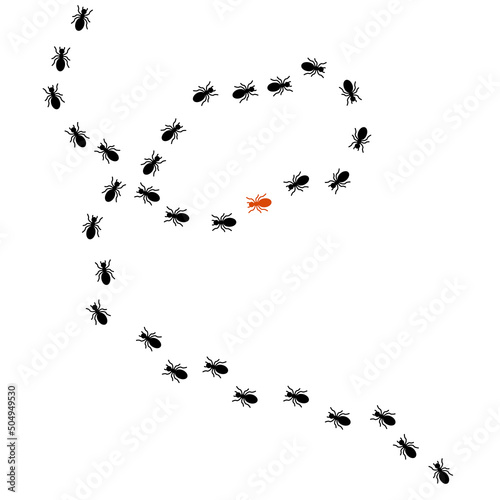 Silhouette Black Ant Road Trail. Vector