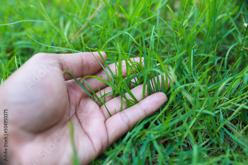 Close-up off a man touch green grass measured with hand.	