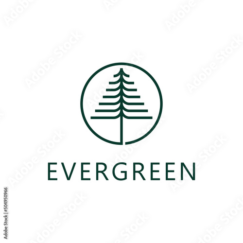 pine evergreen fir hemlock spruce conifer cedar coniferous cypress larch pinus tree Logo design 