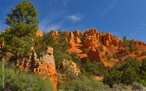 sandstone cliffs and hoodoos at Red Canyon in Dixie National Forest (Garfield County, Utah)sandstone cliffs and hoodoos at Red Canyon in Dixie National Forest (Garfield County, Utah) photo