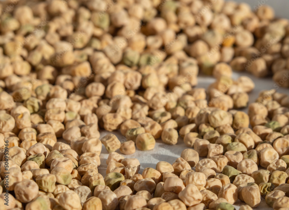 Textured Dry Green Pea seeds, Selective focus Textured Dry Green Pea seeds, Selective focus