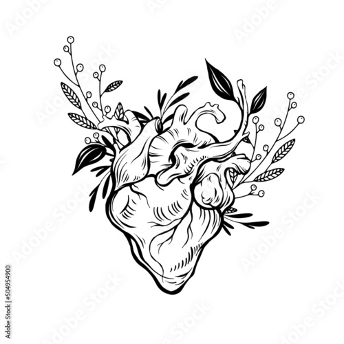 Anatomical wooden heart illustration with florals and branches. Abstract romantic sign, nature love concept. Line art, print, tattoo sketch.