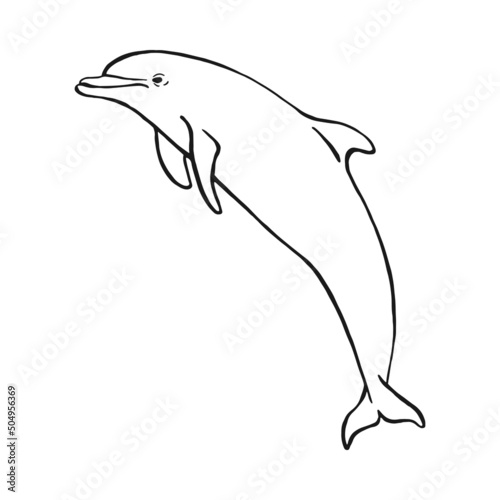 Hand drawn dolphin. Vector illustration in sketch style. Jumping dolphin isolated on white background.