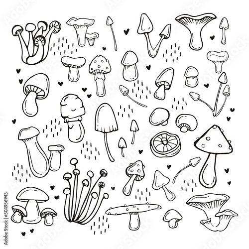 Mushroom set. Hand style. Cute mushrooms.
Doodle style. Champignons, oyster mushrooms, chanterelles and much more.