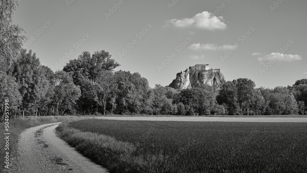 Fototapeta premium The ruins of the castle Devin from the period of Great Moravia on a high rock in black and white, Slovakia
