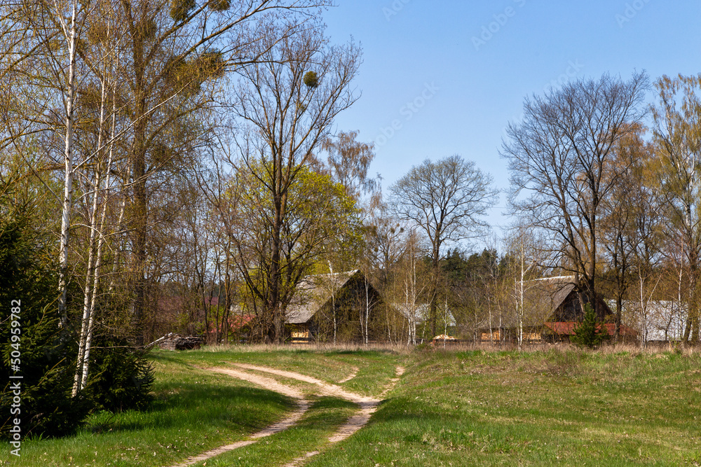 Piękno wiosennego krajobrazu Podlasia, Polska