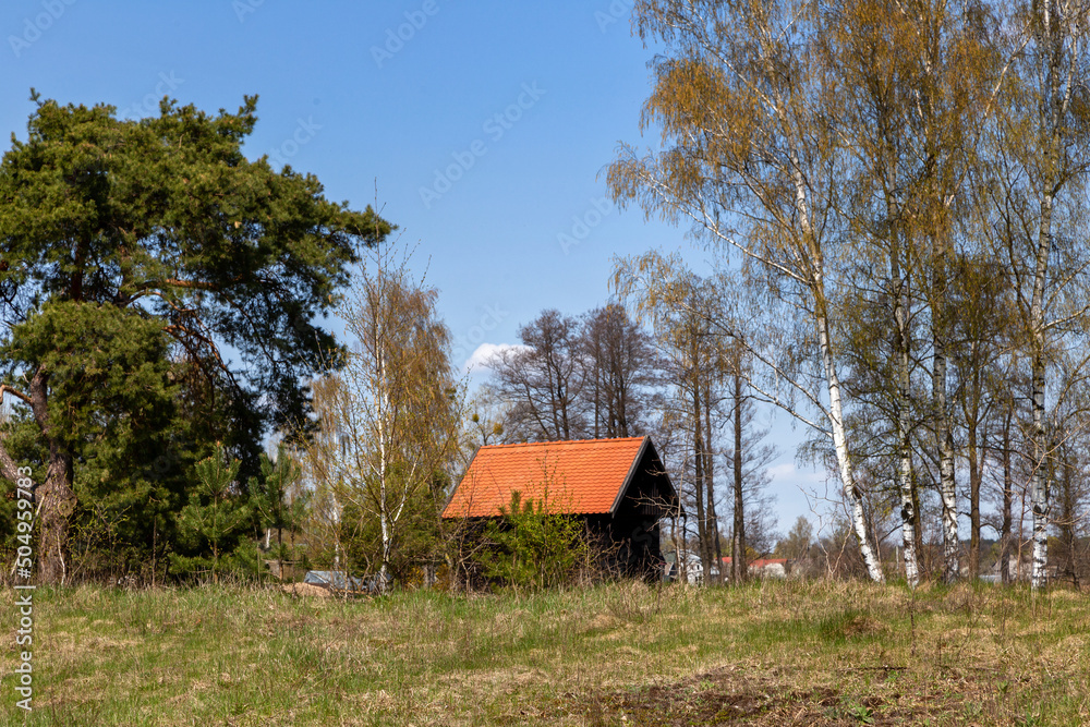 Piękno wiosennego krajobrazu Podlasia, Polska Piękno wiosennego krajobrazu Podlasia, Polska