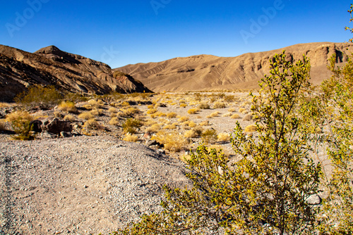 landscape in the mountains