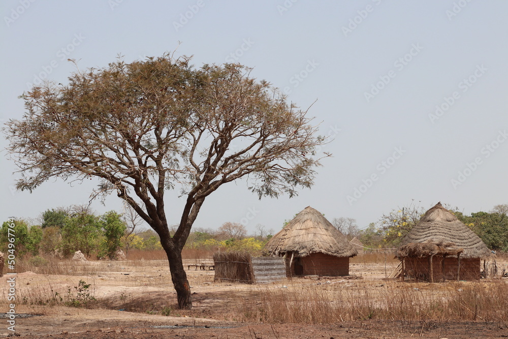 Naklejka premium Landscape in West Africa