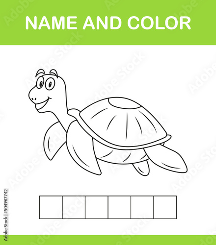 Name and color_01