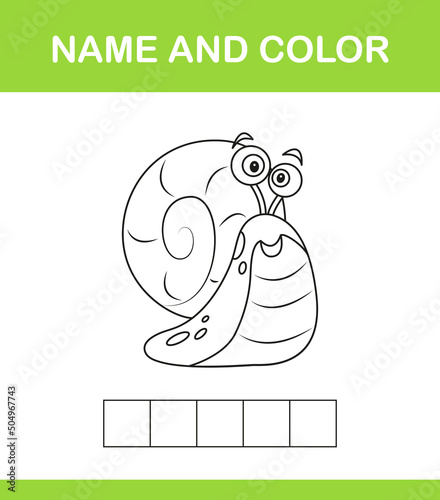 Name and color_02