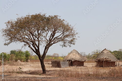 Принти на полотні Landscape in West Africa