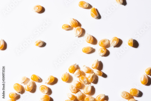 Popcorn Kernels Scattered on white