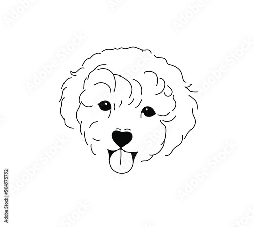 Vector isolated head of shaggy lapdog breathing through its mouth colorless black and white contour line drawing