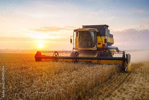 Combine harvester harvests ripe wheat. Ripe ears of gold field on the sunset cloudy orange sky background. . Concept of a rich harvest. Agriculture image