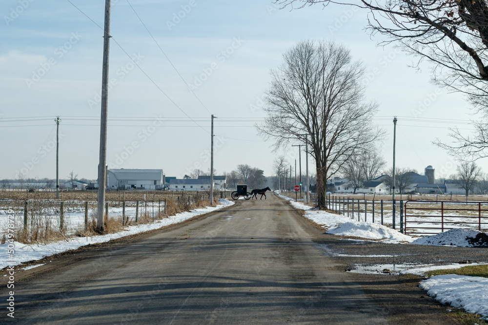Amish Horse and Buggy Crossing a Road in the Distance | Shipshewana, Indiana