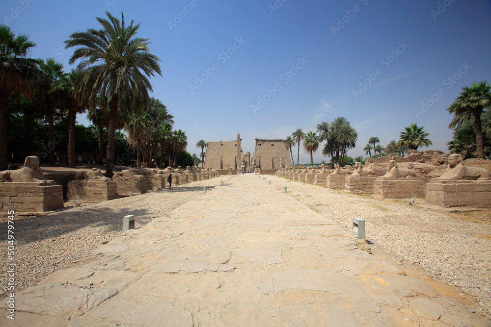 Sphinxes road at Luxor Temple, Luxor, Egypt