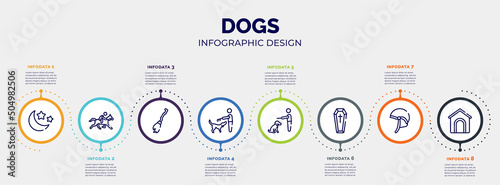infographic for dogs concept. vector infographic template with icons and 8 option or steps. included moon and stars, race horse with jockey, broom, man combing a dog, null, coffin, jockey hat, dog