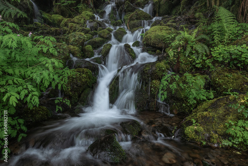 Tranquil purity with fresh flowing cascading waterfall through lush green mossy environment of Olympic National Park, Washington State
