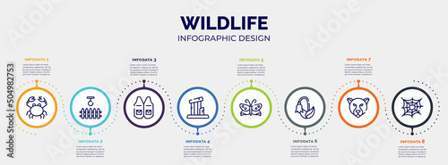 infographic for wildlife concept. vector infographic template with icons and 8 option or steps. included crab, swing, waistcoat, relics, butterflies, harebell, jaguar, cobweb editable vector.
