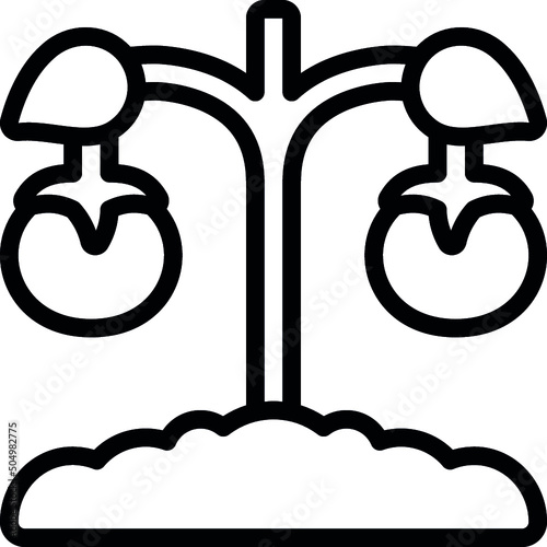 Tomato Plant Icon