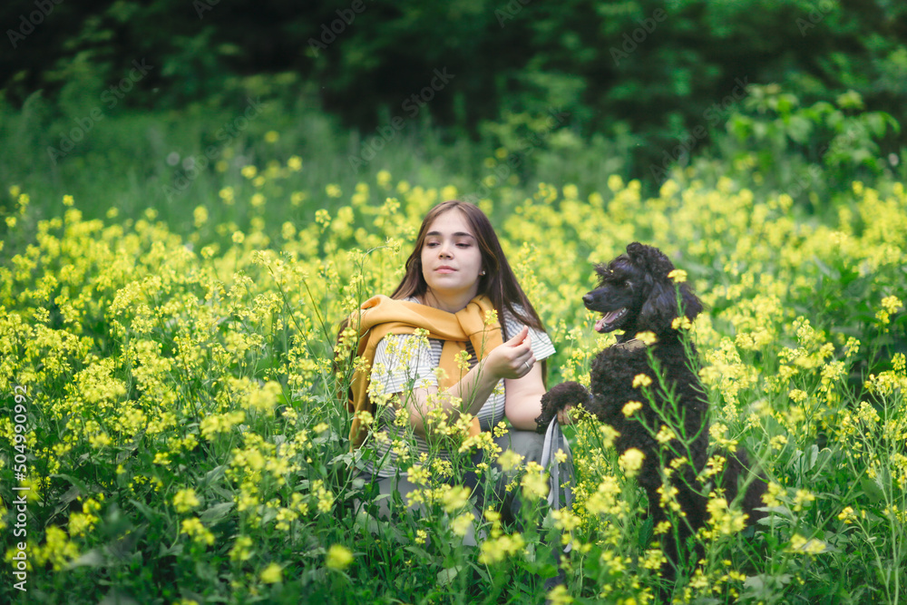 A cute European girl with long hair with her pet black poodle in a meadow with yellow flowers. Walking with a dog in nature A cute European girl with long hair with her pet black poodle in a meadow with yellow flowers. Walking with a dog in nature