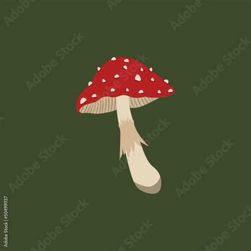 Fly agaric. poisonous mushroom. Forest mushroom. 