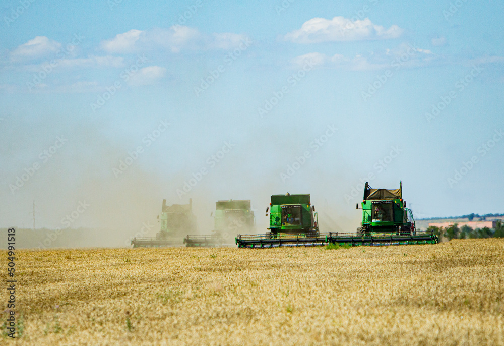 Fototapeta premium harvester at work in the field