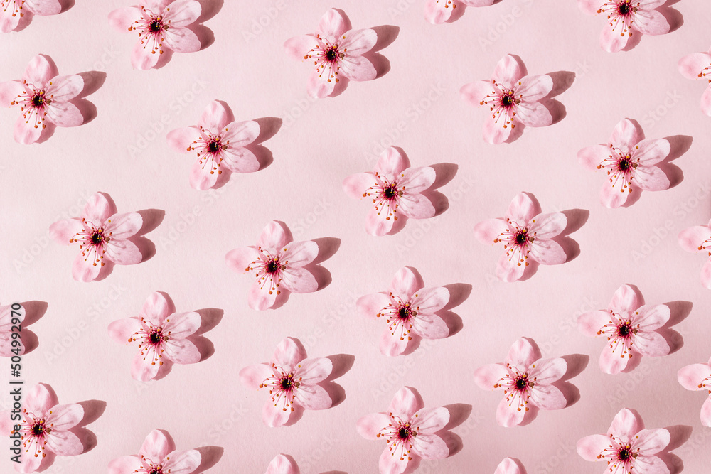 Flowers pattern. Blossoms spring blooming pattern on pink background Flowers pattern. Blossoms spring blooming pattern on pink background