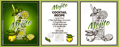 Sketch drawing poster of Mojito cocktail in glass with a slice of lemon and mint leaf on green and white background. Engraved alcohol drink. Bar menu. Beverage, cocktail recipe. Vector illustration.