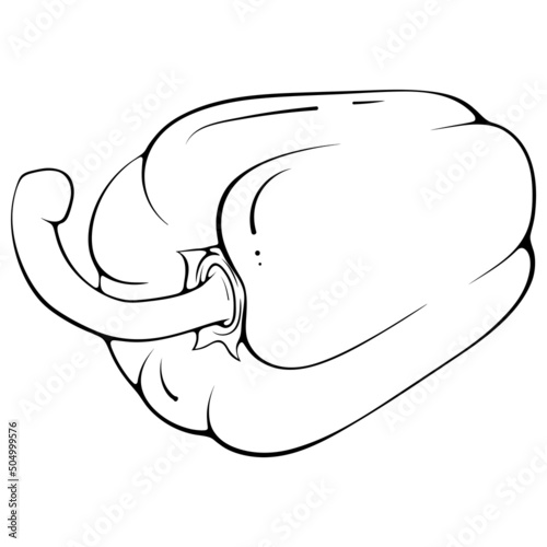 One whole lying on its side paprika pepper. Vector illustrations in hand drawn sketch doodle style. Line art botanical food isolated on white. Close up vegetable. Element for coloring book, design