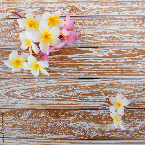 White frangipapi flower on wood table with copy space for background. frangipapi flower is aroma flower and symbol of asian spa concept.