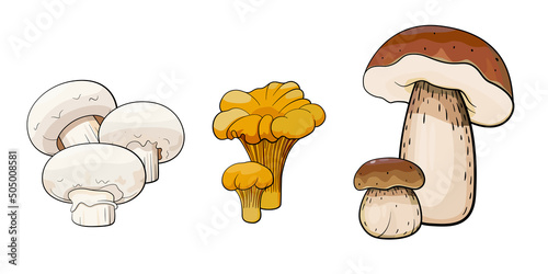 mushrooms collection