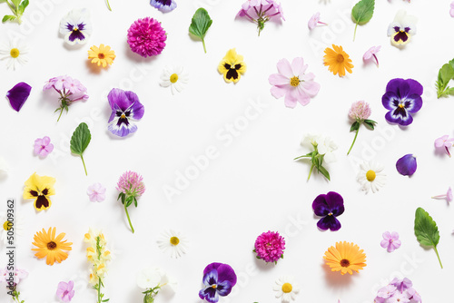 Spring and summer flower composition pattern on white background. Border frame, copy space. Festive flower concept with garden pansy, camomile, colorful buds, branches and leaves. Flat lay, top view.