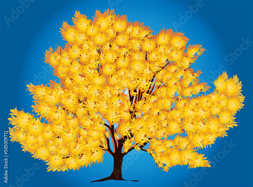 lush golden fall tree on blue background