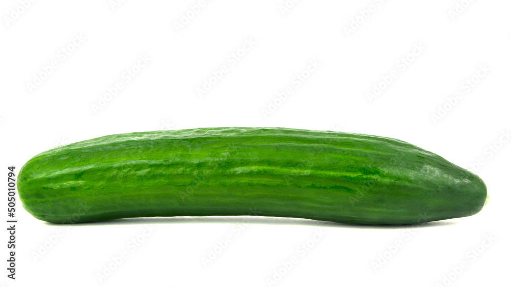 Fresh single green cucumber isolated on white background Fresh single green cucumber isolated on white background