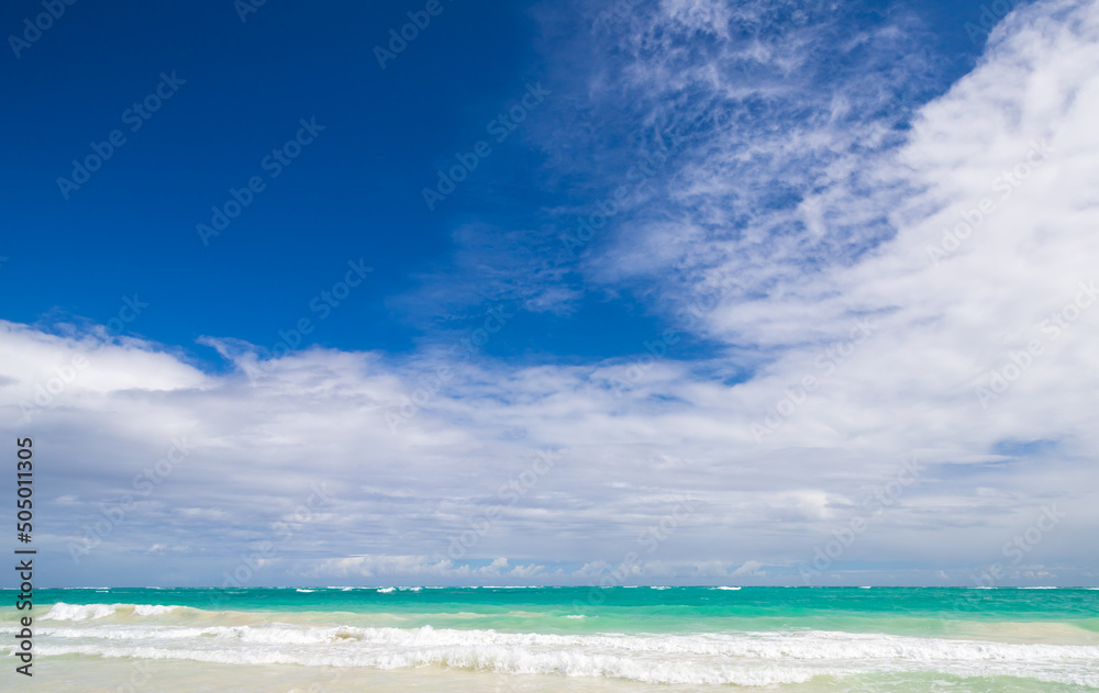 Fototapeta premium Caribbean Sea shore is under cloudy blue sky on a sunny day, natural background
