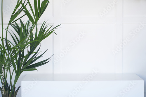 Abstract empty white podium with palm leaves on a white background is a mock-up of a stand for a product presentation. Minimal concept. High quality photo