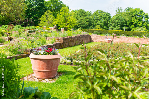 garden with flowers bed banner