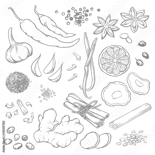 Set of elements for design, spices and seasonings, vector illustrations, line art