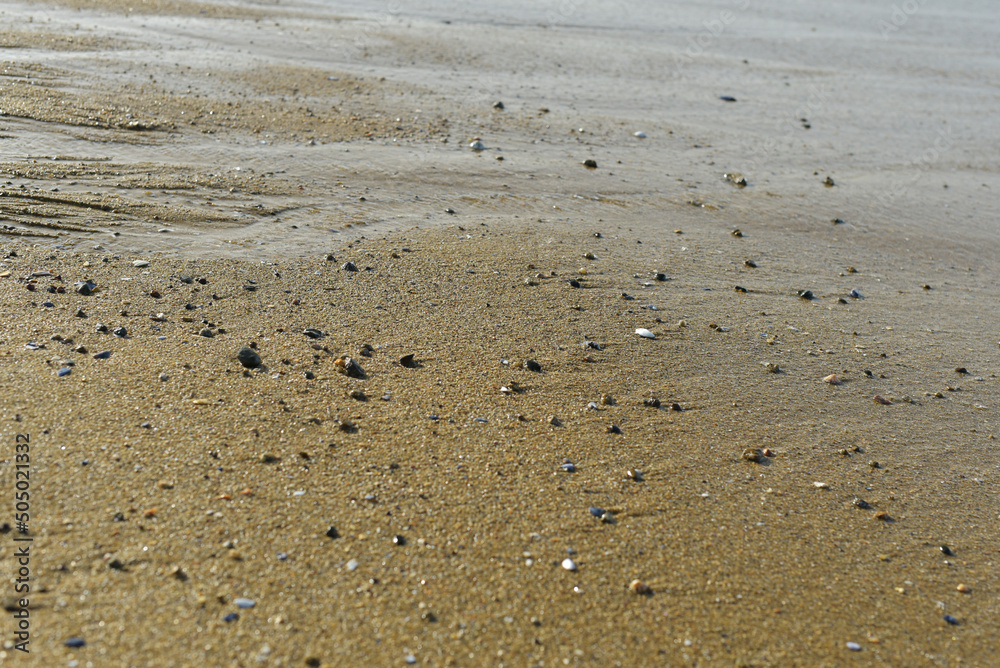 Plage Plage